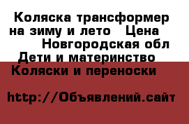 Коляска-трансформер на зиму и лето › Цена ­ 2 000 - Новгородская обл. Дети и материнство » Коляски и переноски   